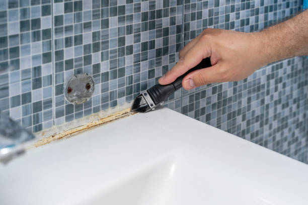 Best Mold Remediation Experts  in Palm Shores, FL